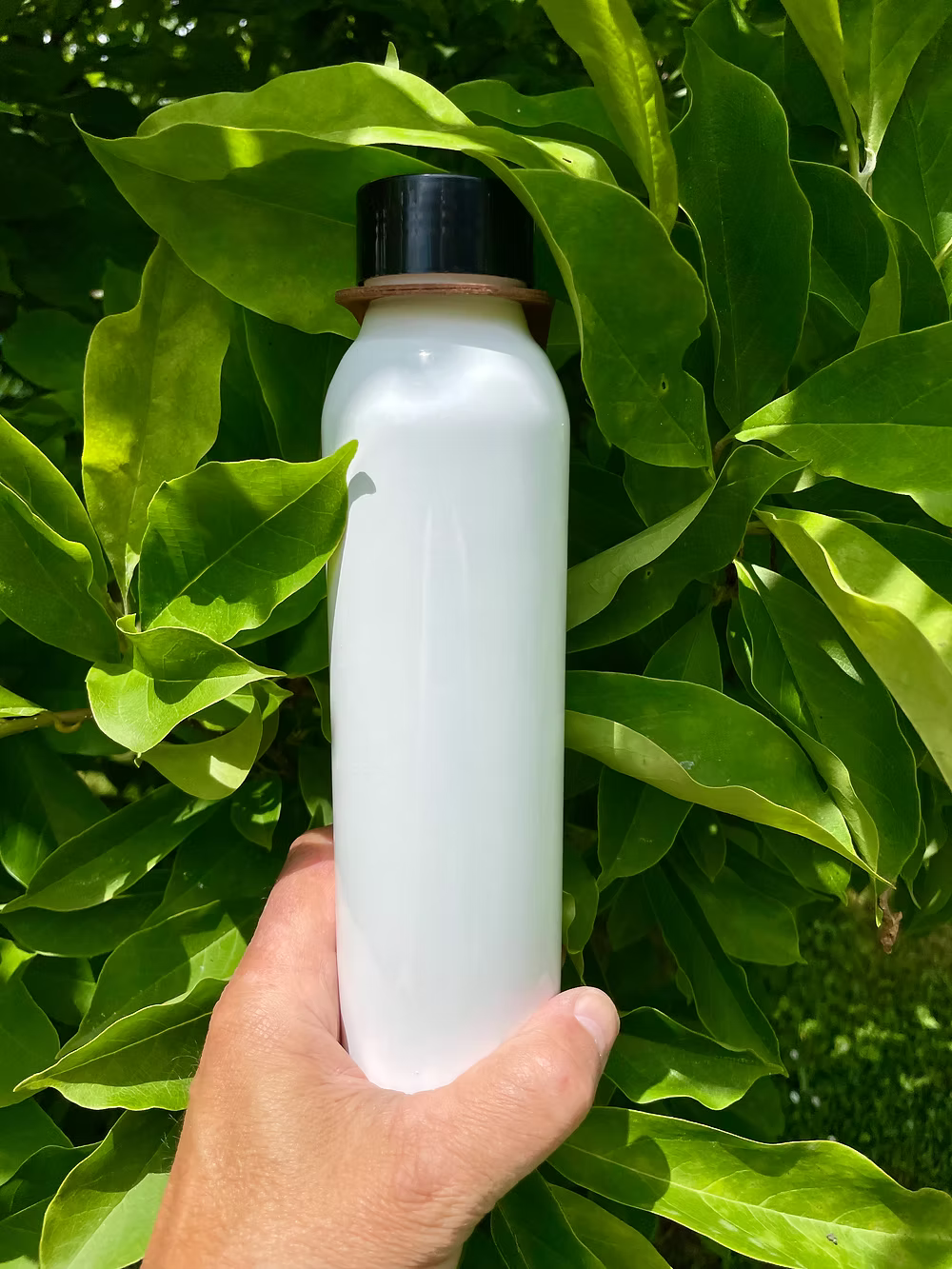 Gourde bouteille EKO - 500 ml