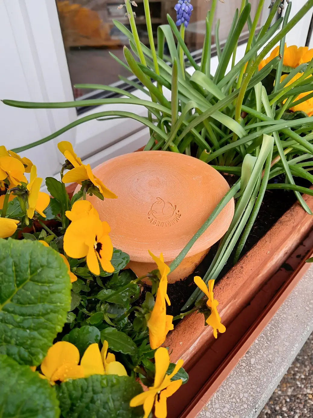 Lombricomposteur à enterrer - Compostino® tube pour les mini pots 1,5L