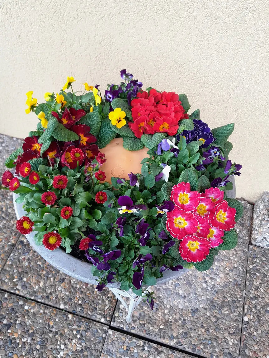 Lombricomposteur à enterrer - Compostino® tube pour les mini pots 1,5L