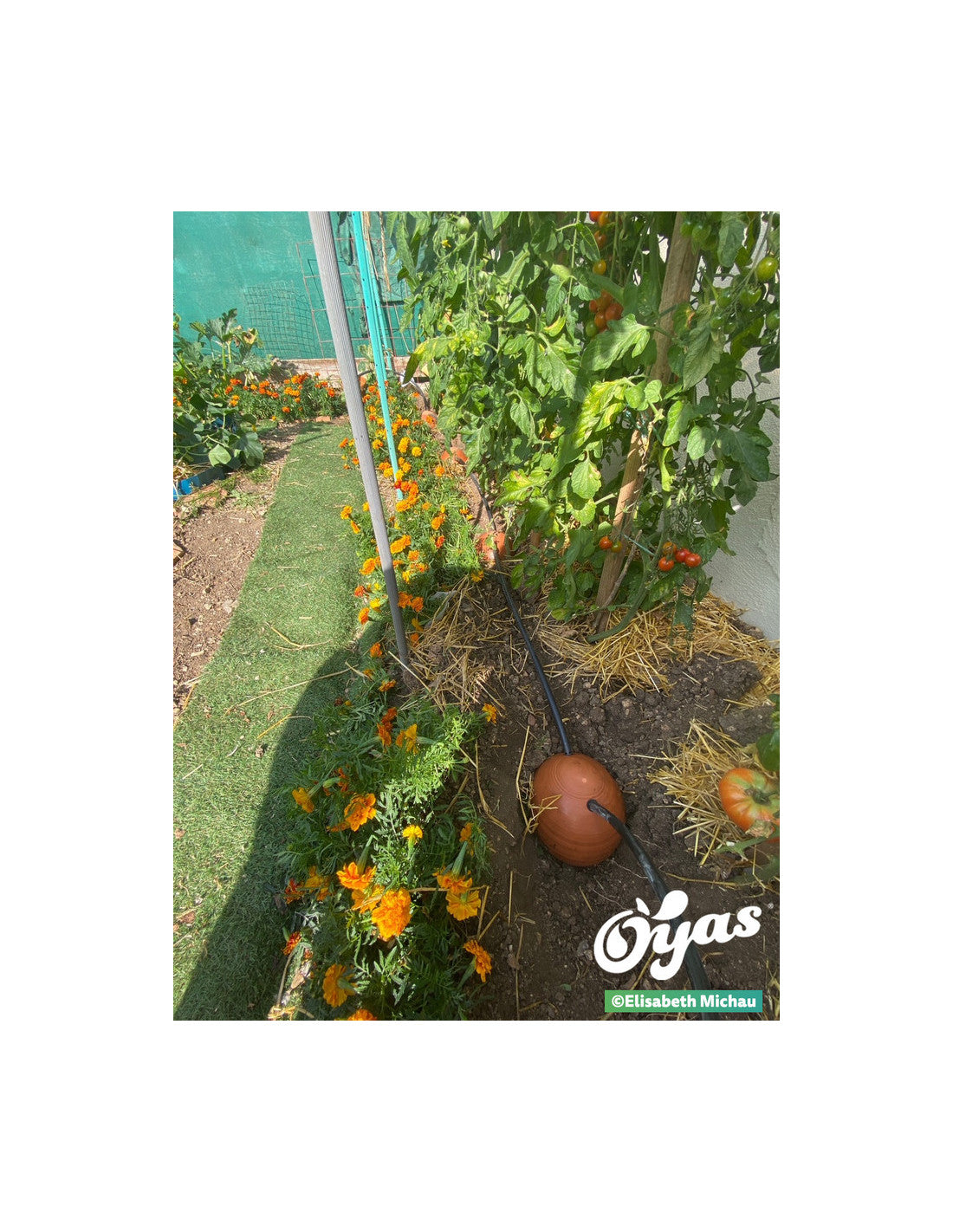 Kit tout équipé 8 Guirland-Oyas® - Taille L