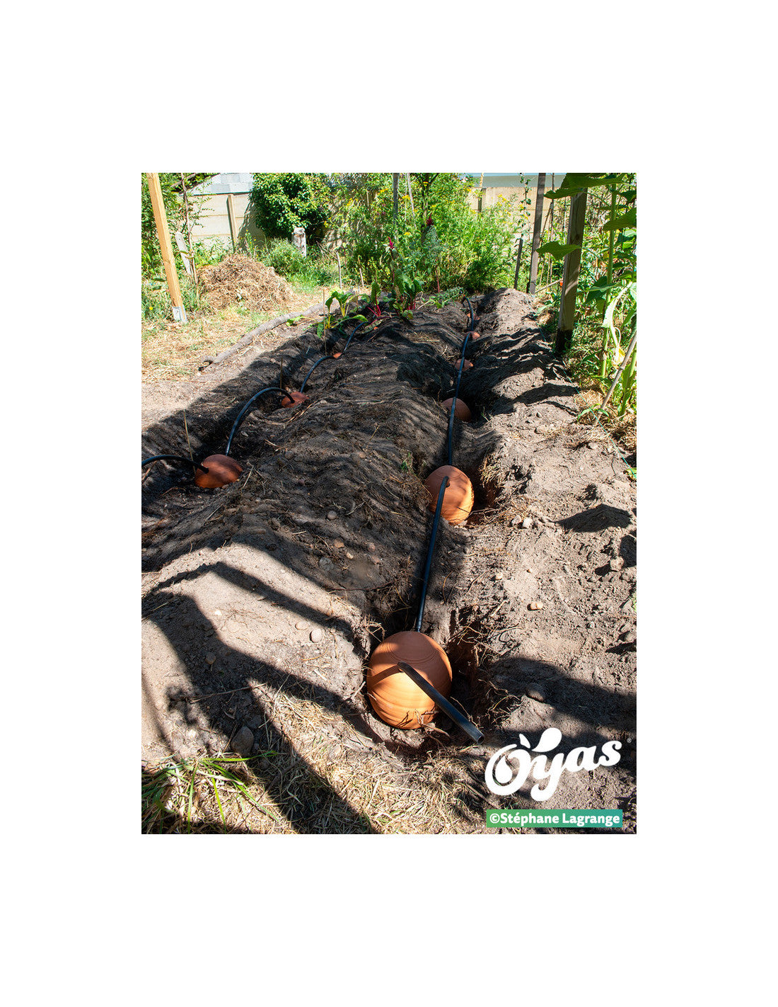Kit tout équipé 8 Guirland-Oyas® - Taille L