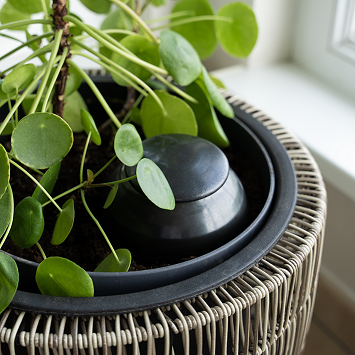 Olla à planter 50cl gris