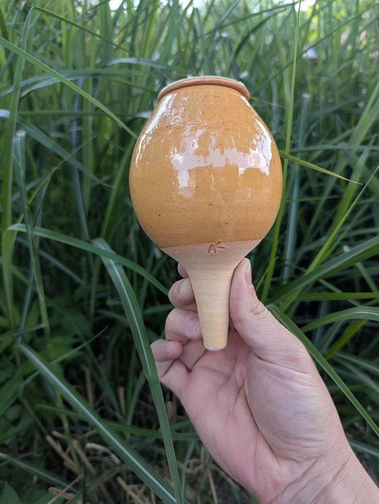 Olla à planter 50cl translucide