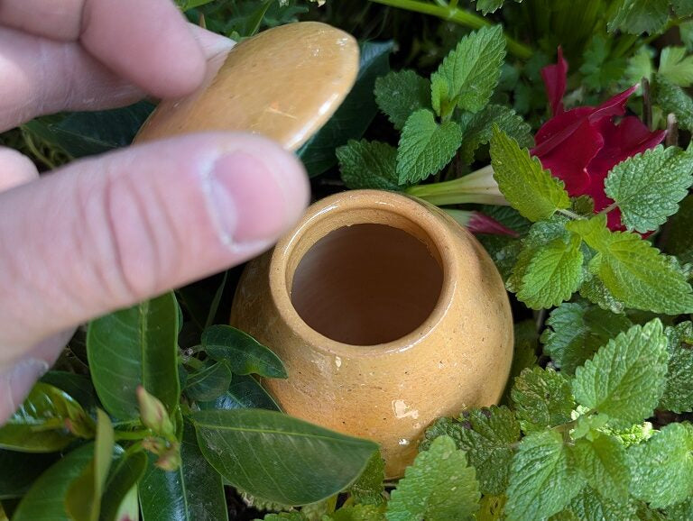 Olla à planter 50cl translucide