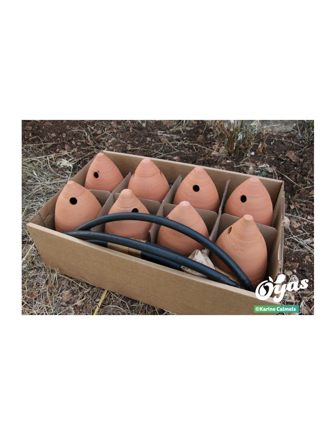 Kit tout équipé 8 Guirland-Oyas® - Taille M