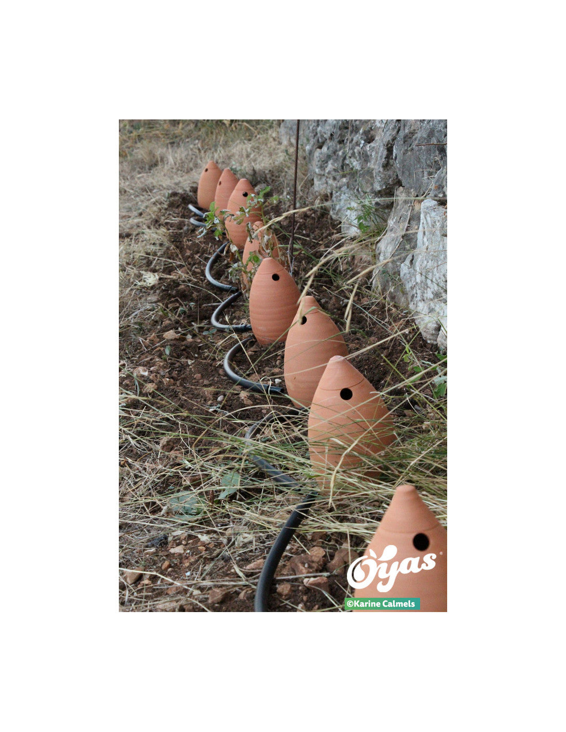Kit tout équipé 8 Guirland-Oyas® - Taille M