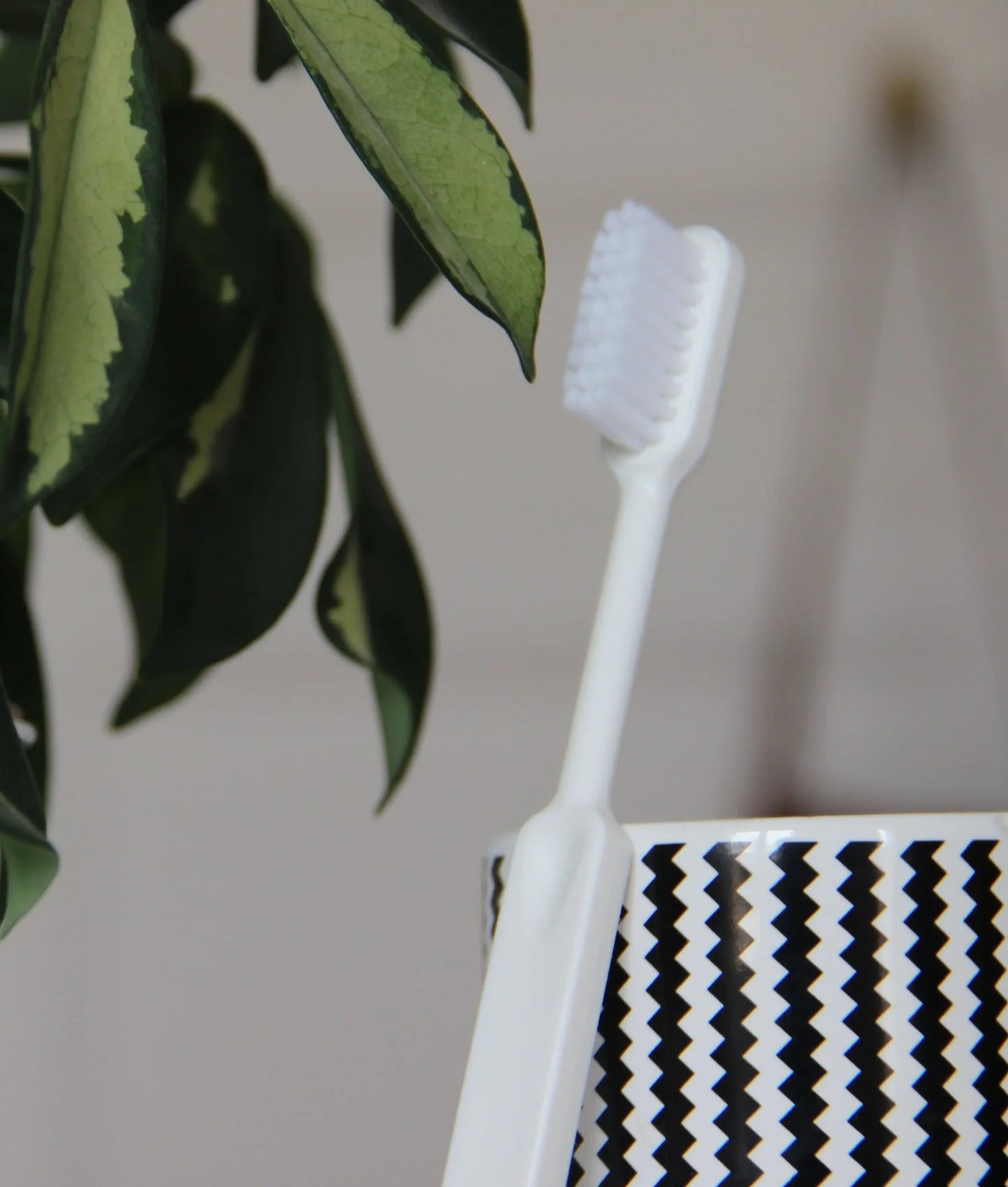 - Brosse à dent rechargeable - Lowreka