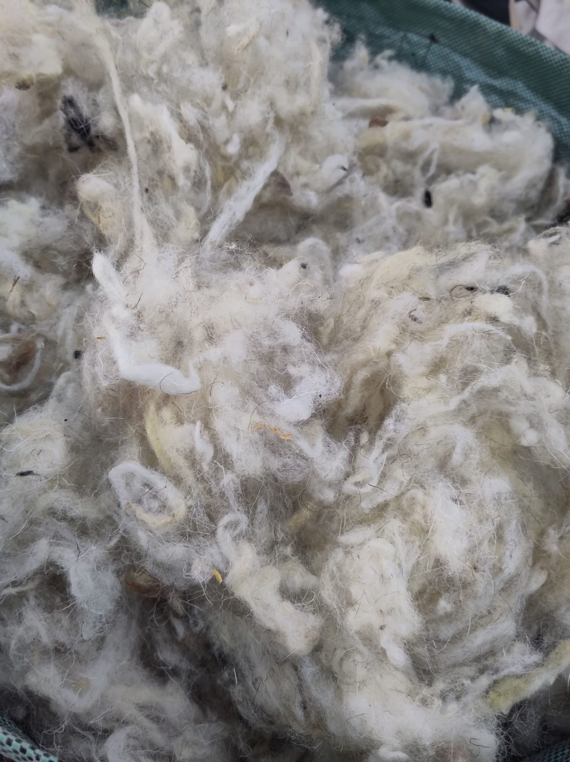 - Laine de mouton lavée pour isolation marmite norvégienne - 500g - Lowreka