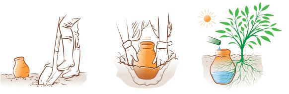 - Oya à enterrer - format S - Lowreka