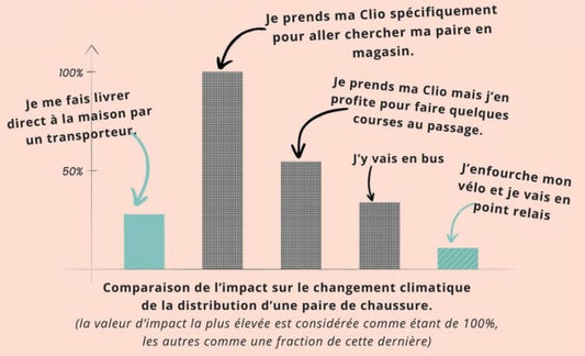 Acheter en ligne ou en boutique ? En cette période de soldes, faisons rentrer l’environnement dans l’équation ! - Lowreka