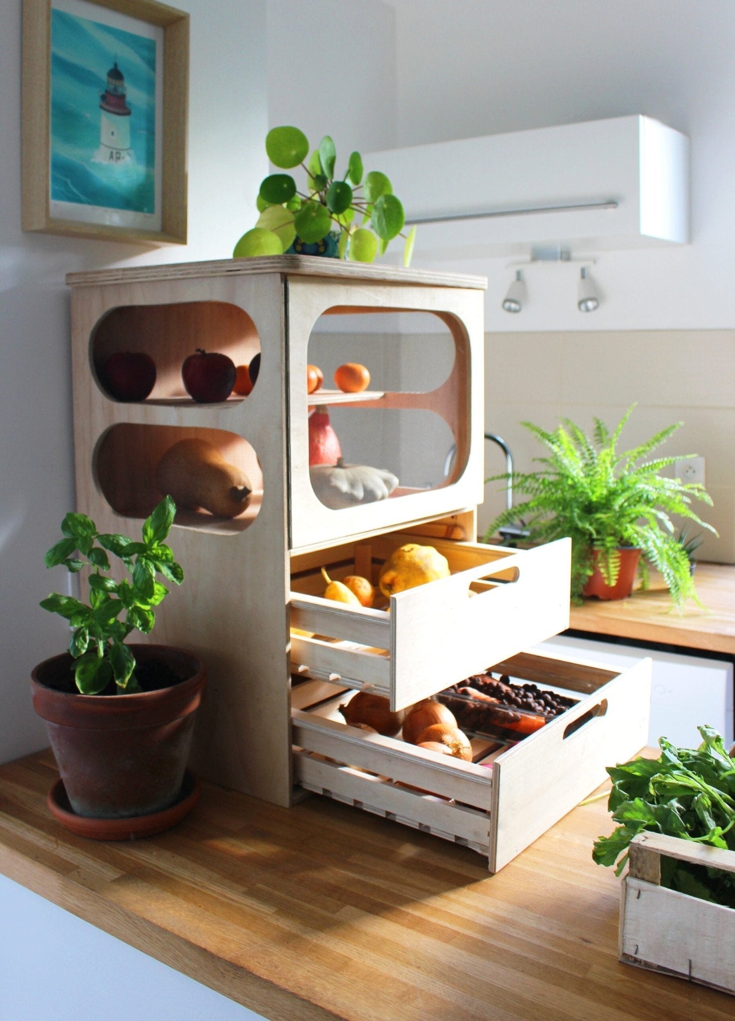 Garde manger : conserver vos aliments sans énergie et en les gardants plus longtemps - Lowreka