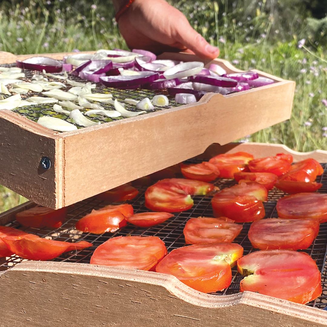 Séchoirs solaires – conservation naturelle des récoltes - Lowreka