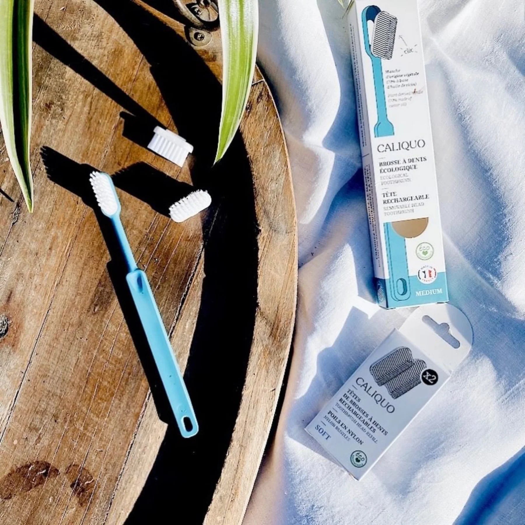  - 2 recharges pour brosses à dent rechargeables pour adulte - Lowreka