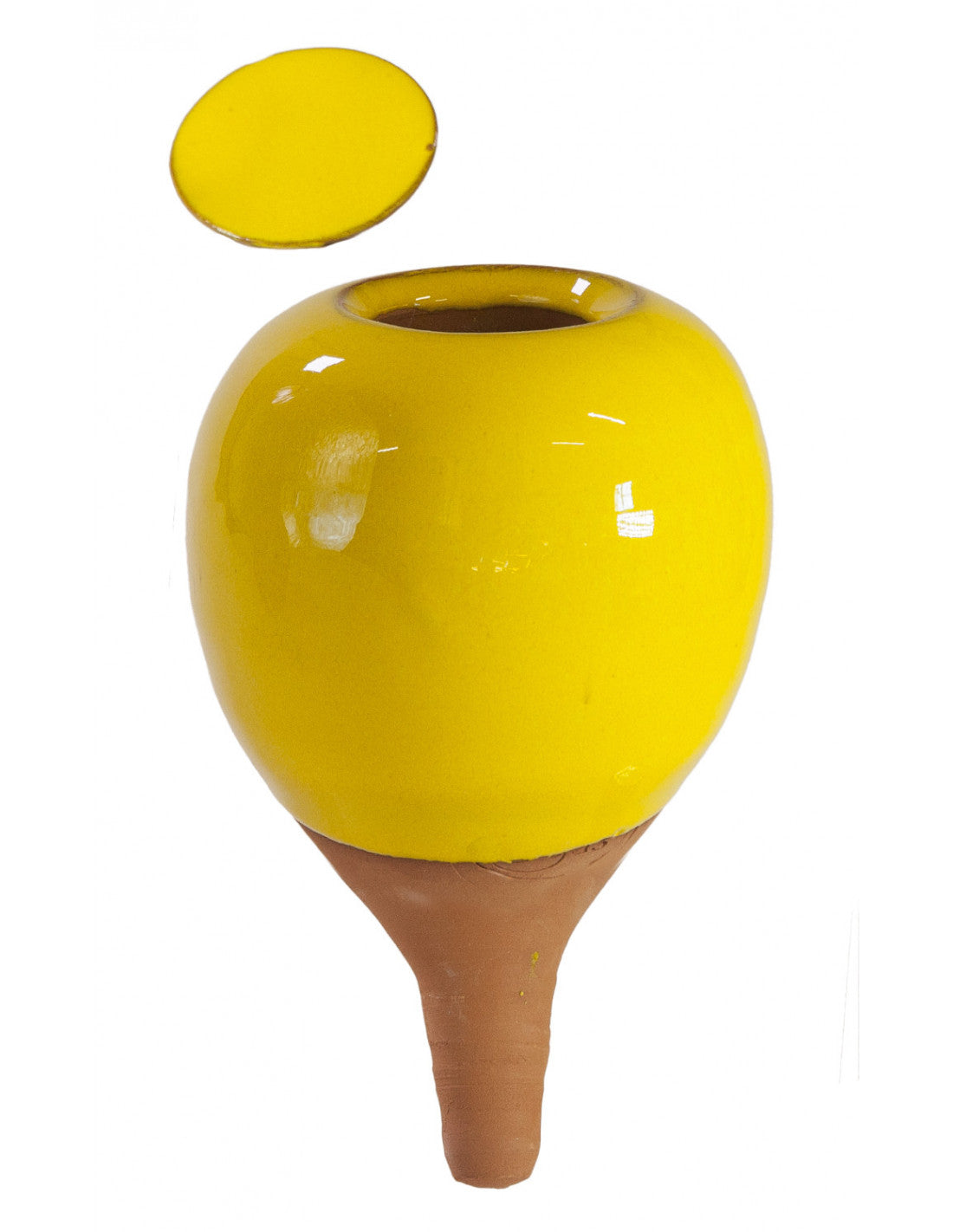 Oyas® à planter 16 couleurs au choix - format S