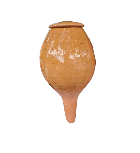 Olla à planter 15cl translucide