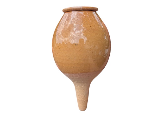 Olla à planter 30cl translucide