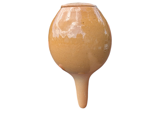 Olla à planter 50cl translucide