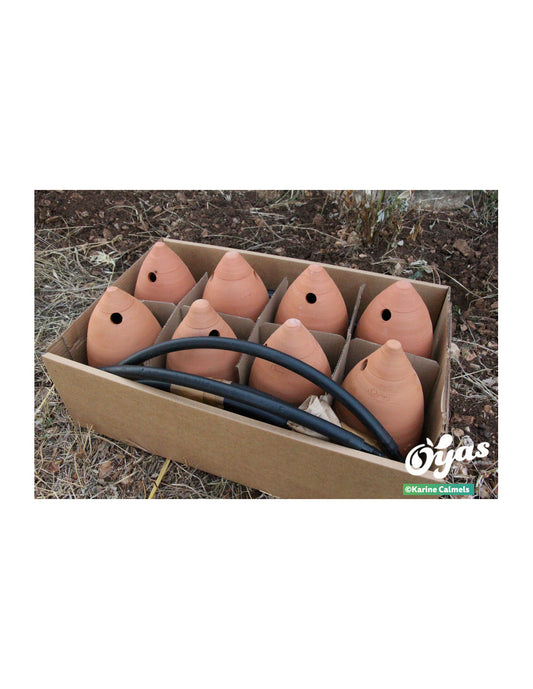 Kit tout équipé 8 Guirland-Oyas® - Taille M