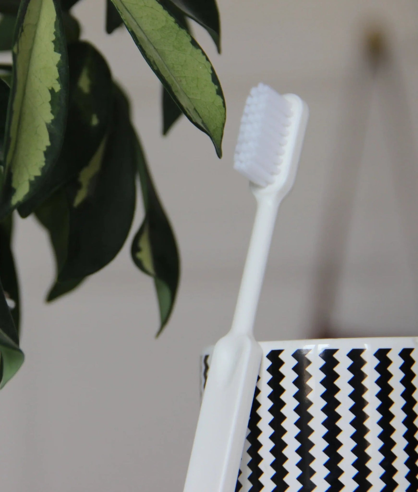  - Brosse à dent rechargeable - Lowreka