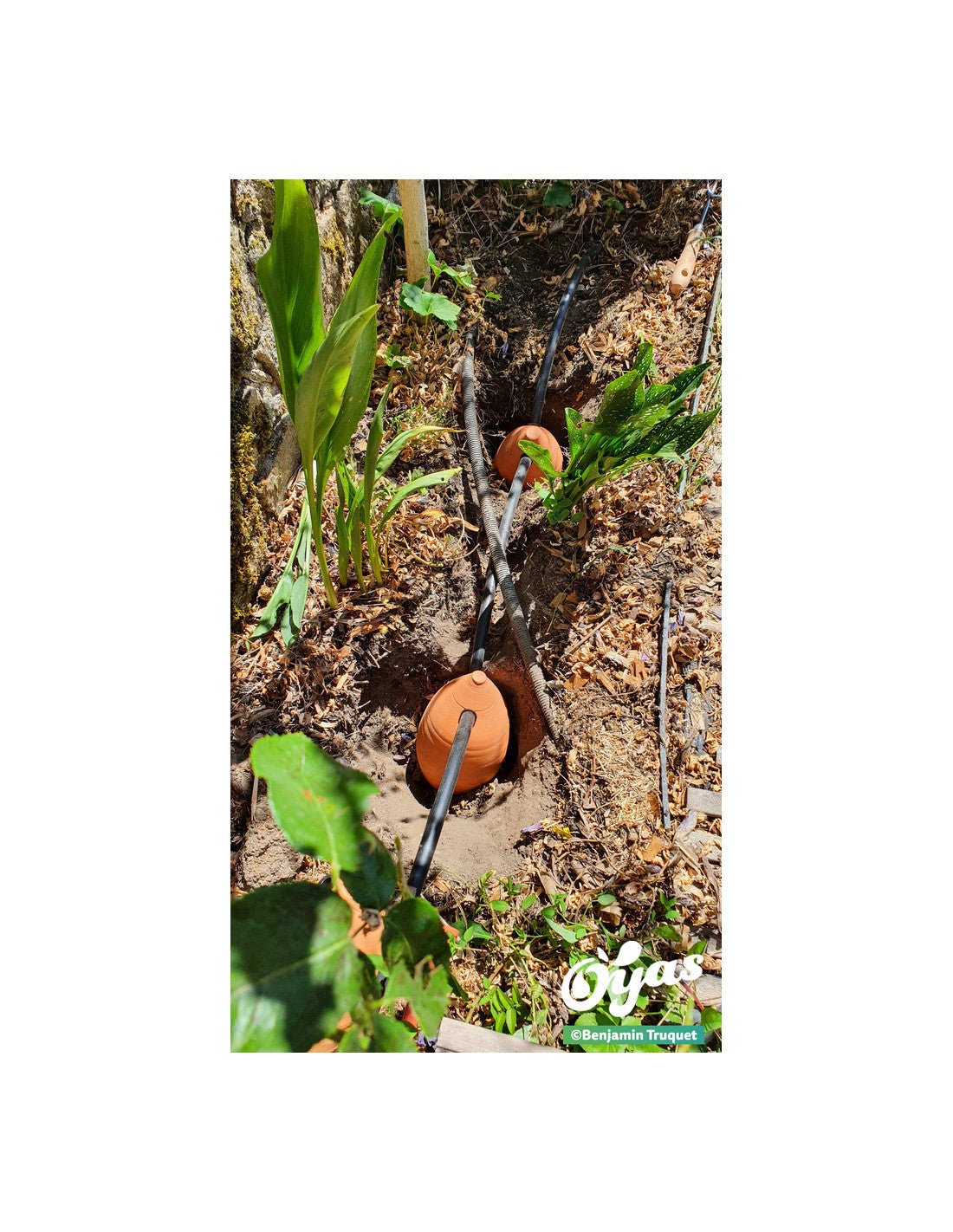  - Kit tout équipé 8 Guirland - Oyas® - Taille M - Lowreka