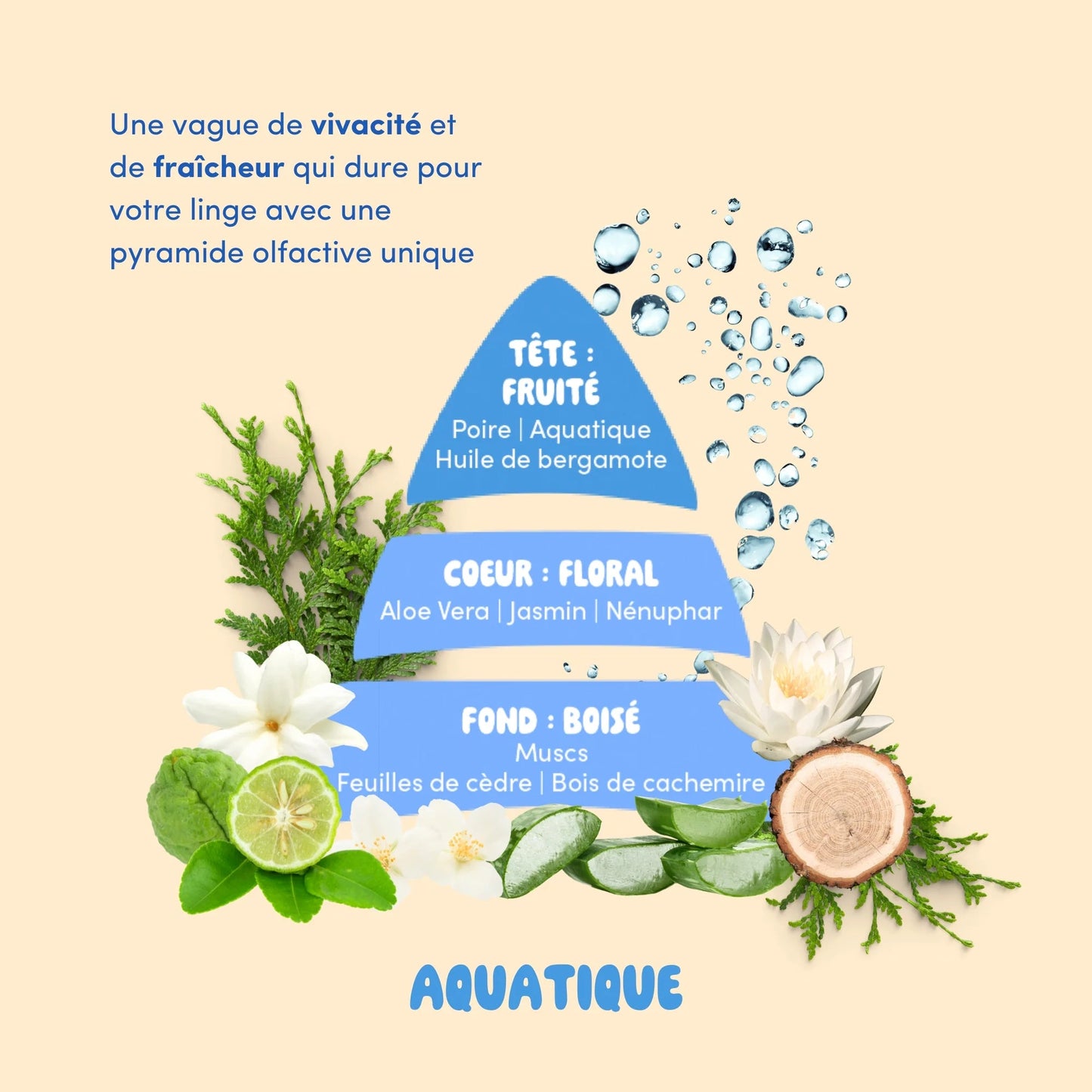  - Lessive réutilisable à base de magnésium - Lowreka