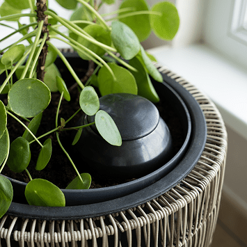  - Olla à planter 50cl gris - Lowreka
