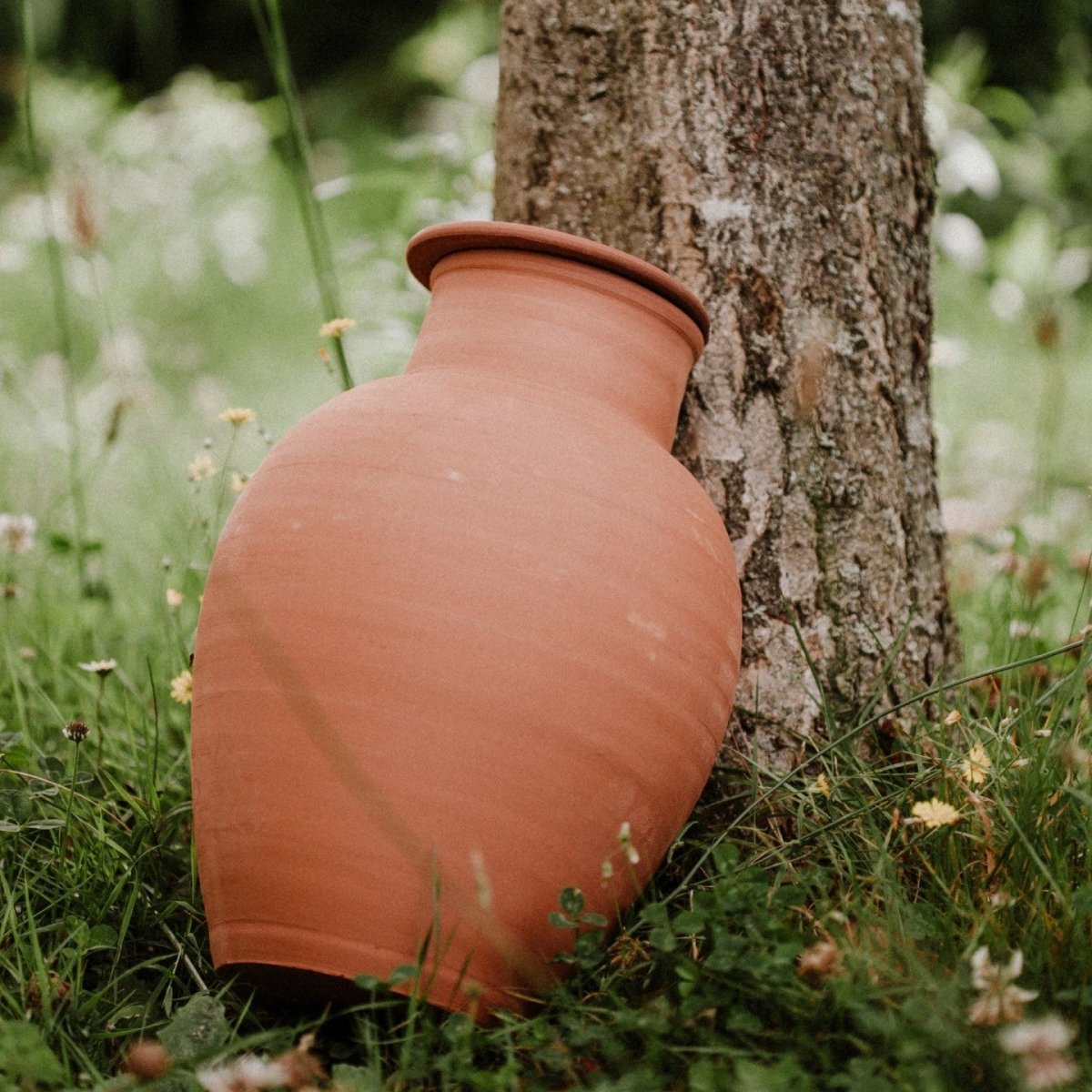 - Olla - Jardinière à enterrer de 0,5L à 20L - Poterie Lutton - Lowreka