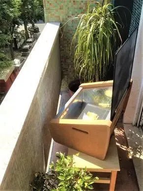 Physical - Four solaire SunTaste 200 (4 personnes) + plat et casserole - Lowreka