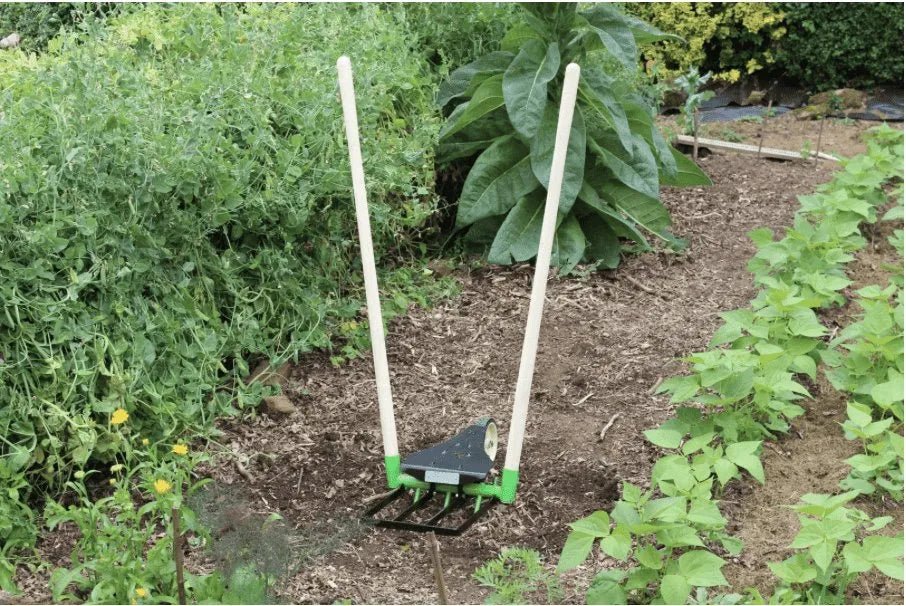 Physical - La Campagnole "Pitchoune" à contre - dents fixes - Lowreka