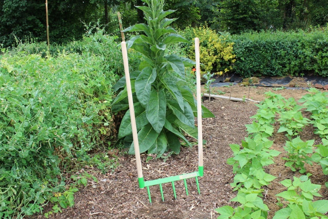 Physical - Odinette pour décompacter, aérer et structurer le sol sans effort - Lowreka